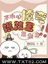 不小心撩弯了摄政王怎么办
