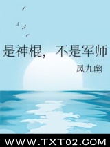 是神棍，不是军师图片