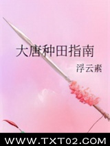 大唐种田指南图片