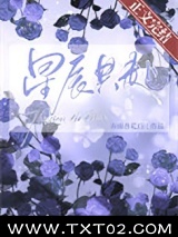 星辰共赴[古穿未]图片