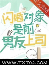 闪婚对象是前男友上司图片