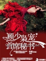 顾少枭宠首席秘书图片