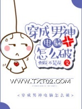 穿成男神电脑怎么破图片