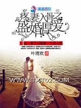 爱妻入骨之盛婚厚爱图片