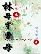 红楼之林母穿贾母图片