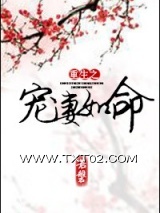 重生之宠妻如命