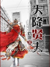 天降贤夫（古穿今）图片