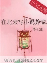 在北宋写小说养家图片
