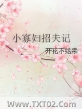 小寡妇招夫记图片