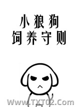 小狼狗饲养守则图片