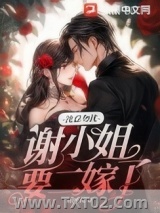 沈总勿扰，谢小 姐要二嫁了图片