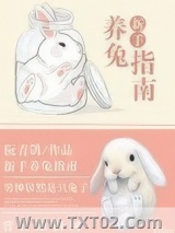 新手养兔指南图片