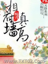 相府墙真高图片