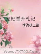 宠妃晋升札记图片