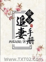 侯爷追妻手册图片