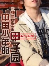 中国少年的甲子园图片