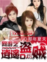 网游之逍遥盗贼图片