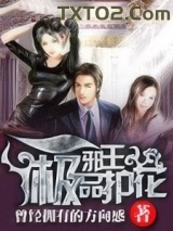 极品护花邪王