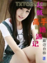 超级高手艳遇记图片