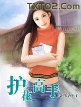 护花高手图片