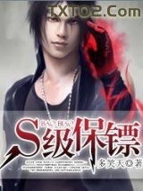 S级保镖