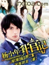 杨小年升官记图片