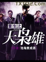 重生之大枭雄图片