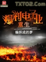 重生爆利电子业图片
