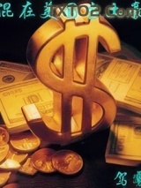 混在美国当土豪图片