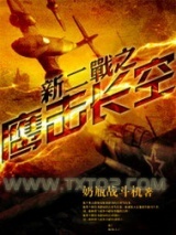 新二战之鹰击长空图片