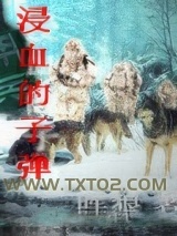 浸血的子弹图片