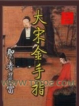 大宋金手指图片