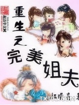 重生之完美姐夫图片