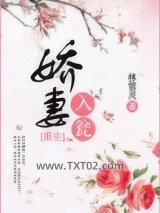 娇妻入瓮图片