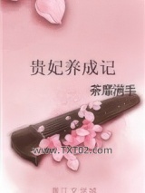 贵妃养成记图片