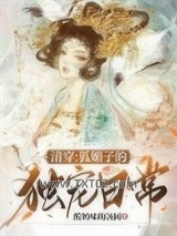 清穿：狐媚子的独宠日常图片