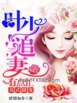 花式甜宠：叶少追妻有点忙图片