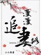 漫漫追妻路图片