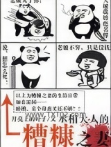 丞相大人的糟糠之妻图片