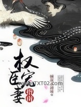 权臣宠妻指南图片