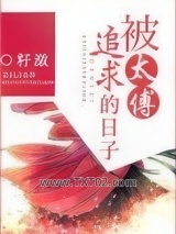 被太傅追求的日子图片