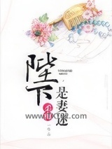 陛下是妻迷图片