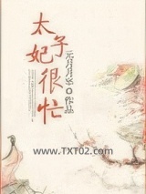 太子妃很忙图片