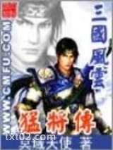 三国风云之猛将传图片