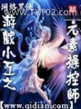 游戏小工之元素操控师图片