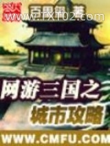 网游三国之城市攻略图片