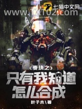 麦块之只有我知道怎么合成