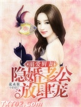 溺爱鲜妻：隐婚老公放肆宠