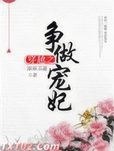 穿越之争做宠妃图片