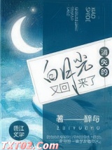 消失的白月光又回来了图片